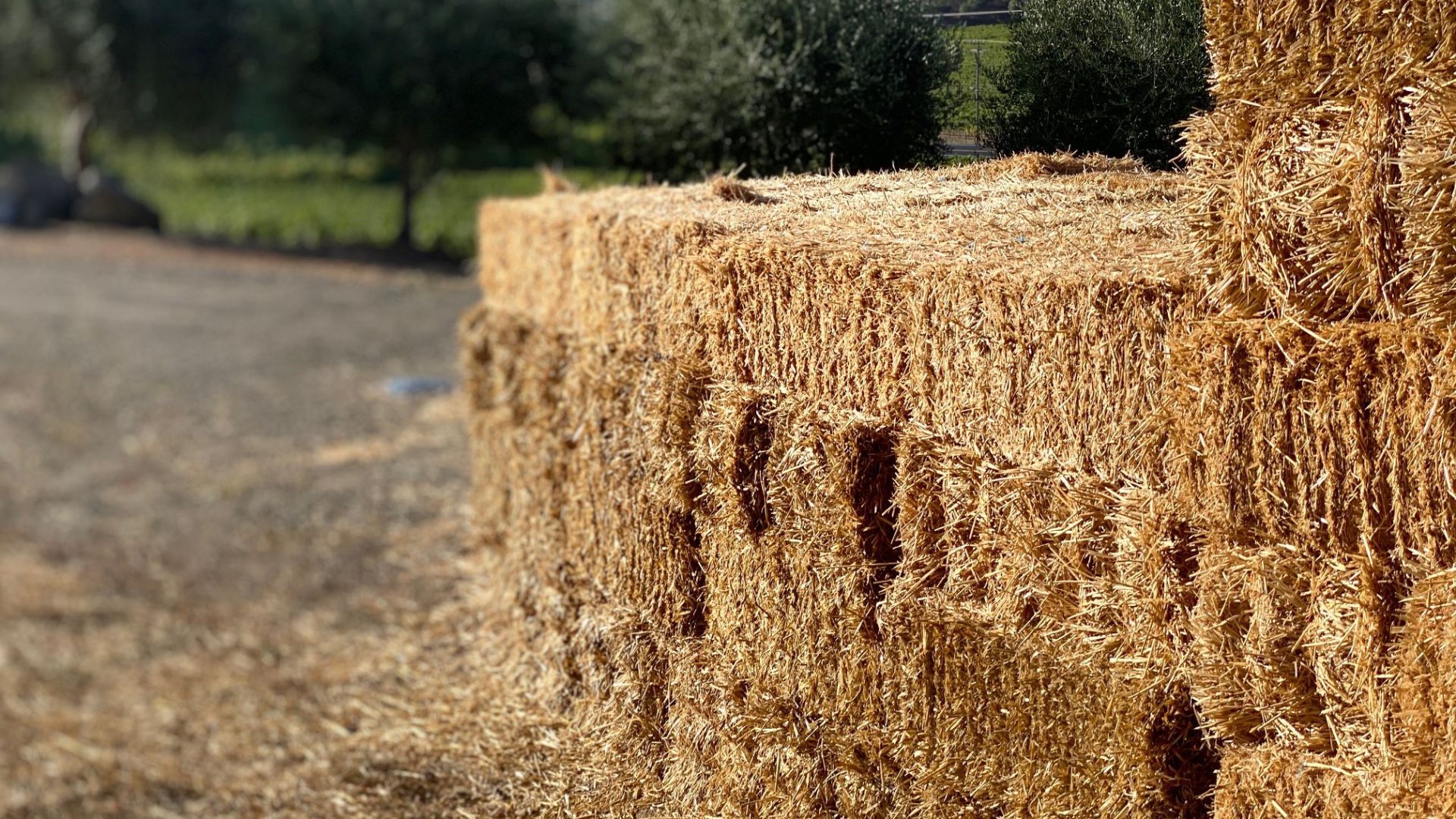 Straw bales at Cliff Lede Vineyards
